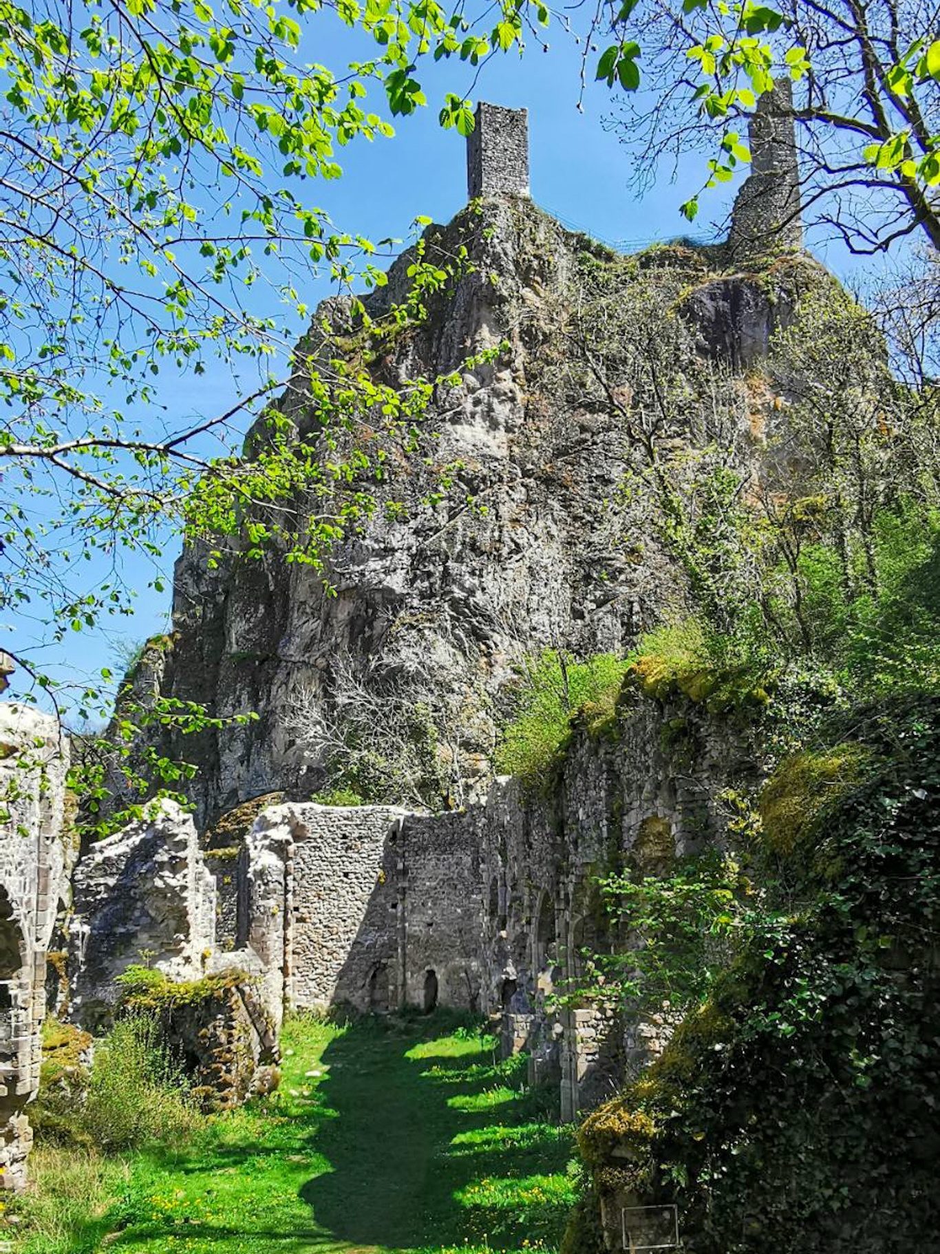 Chapelle Notre-Dame de Pitié - Peyrusse-le-Roc