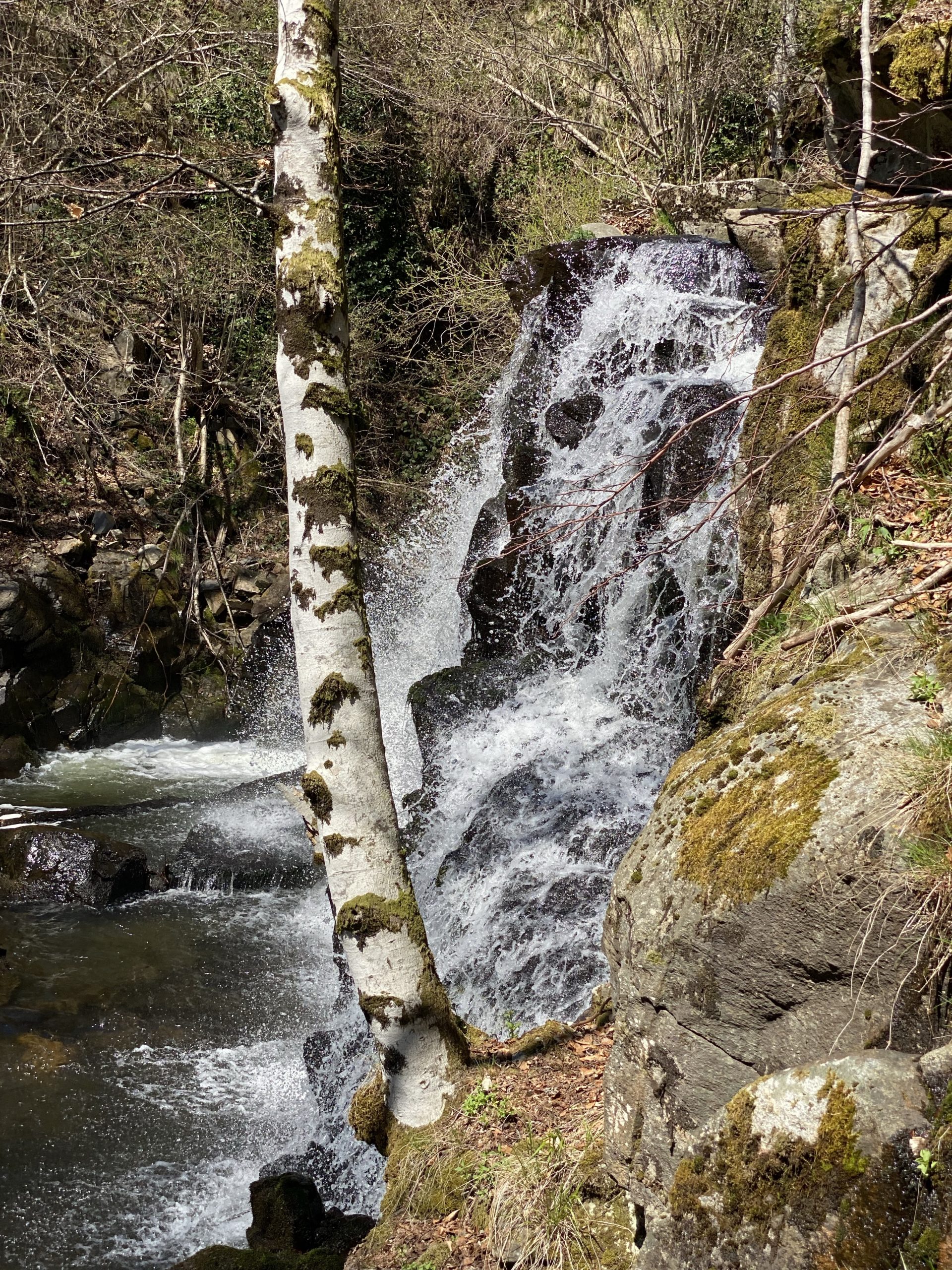 Cascade des Touzes à St Chély d’Aubrac