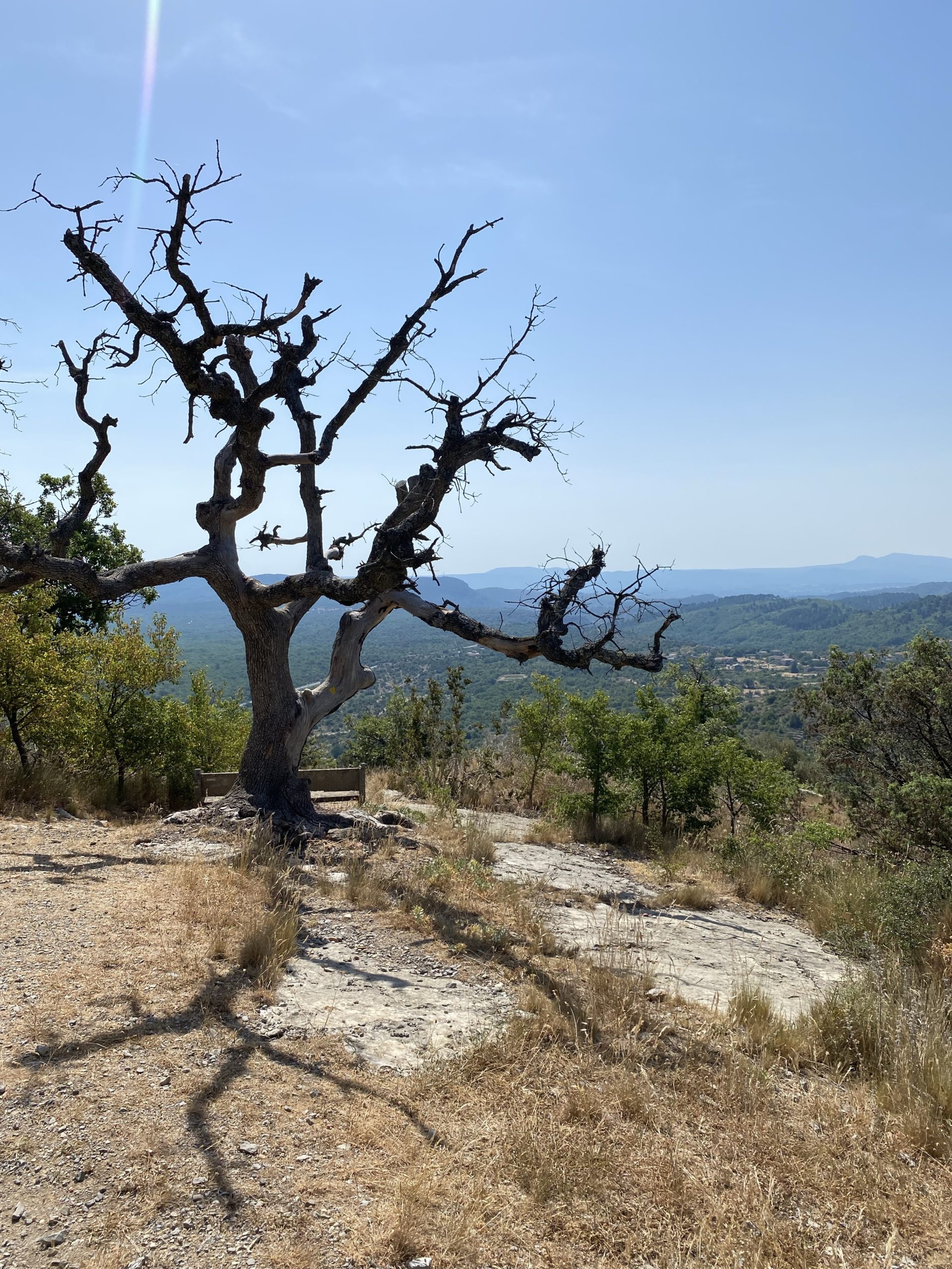 Chapelle Saint-Sébastien à Courry dans le Gard (30) - N'oublie Jamais