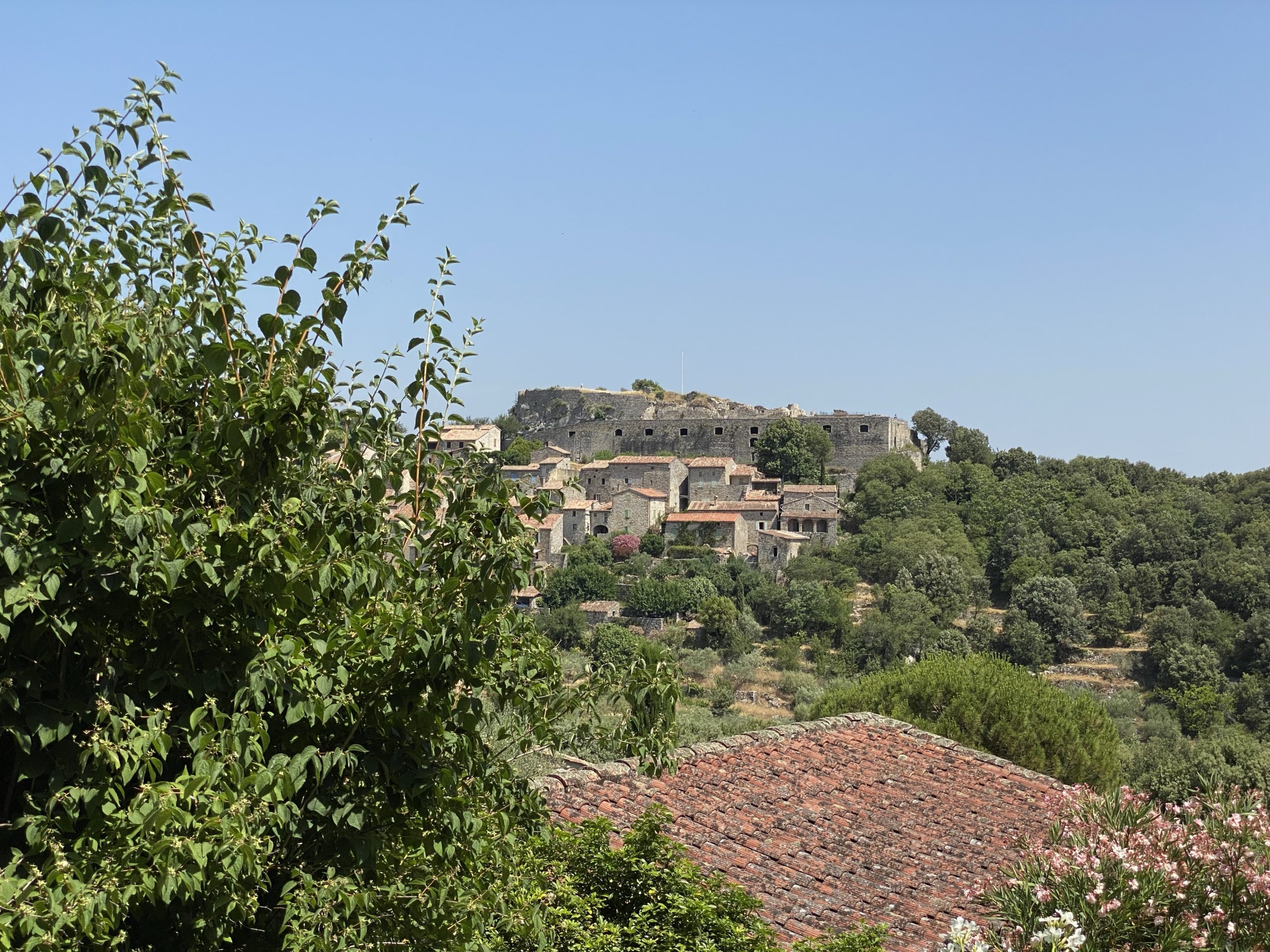 Château de Banne et son castrum