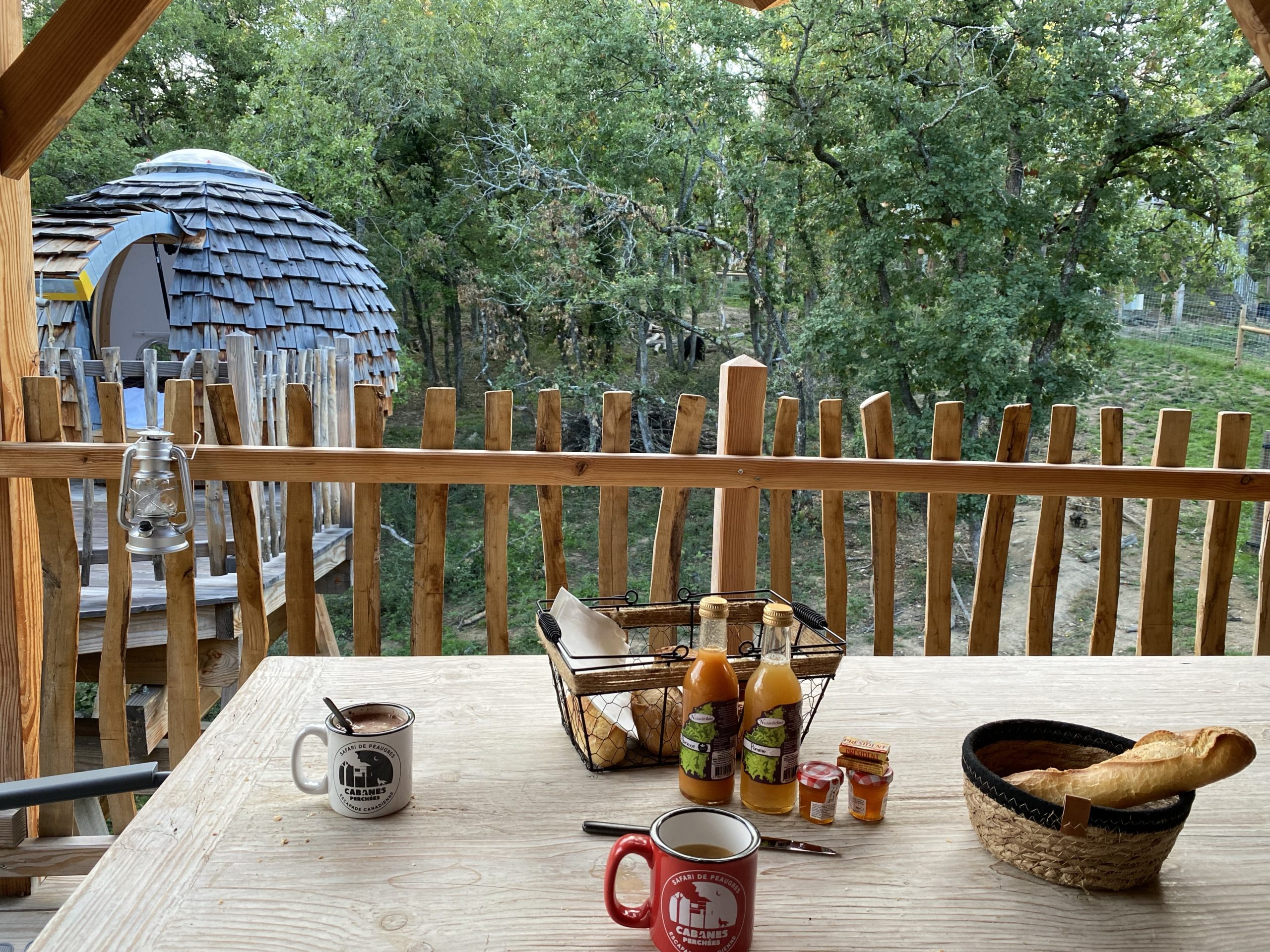 Petit-déjeuner aux Cabanes perchées du Safari de Peaugres