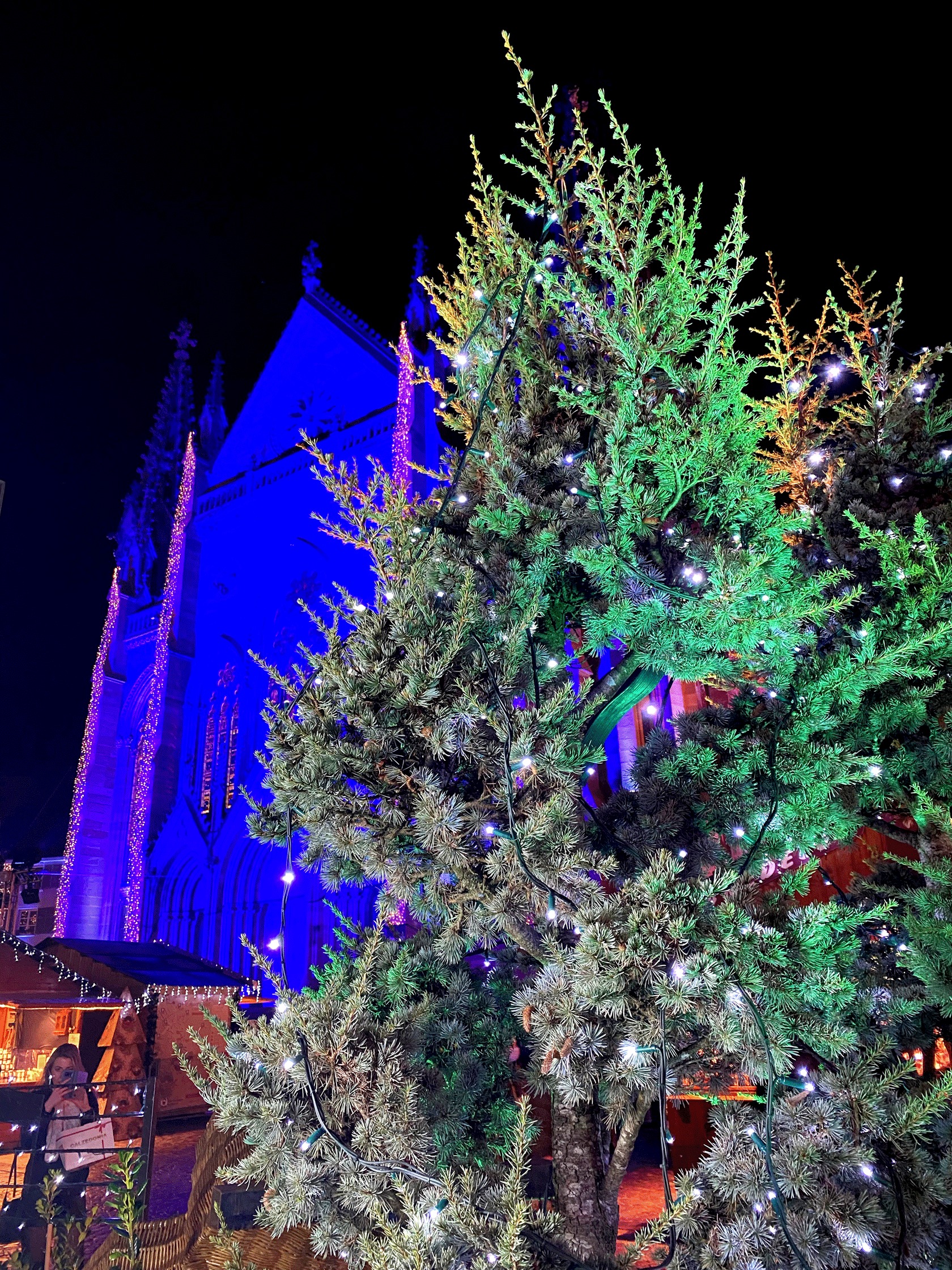 Visitez le marché de Noël de Mulhouse en Alsace