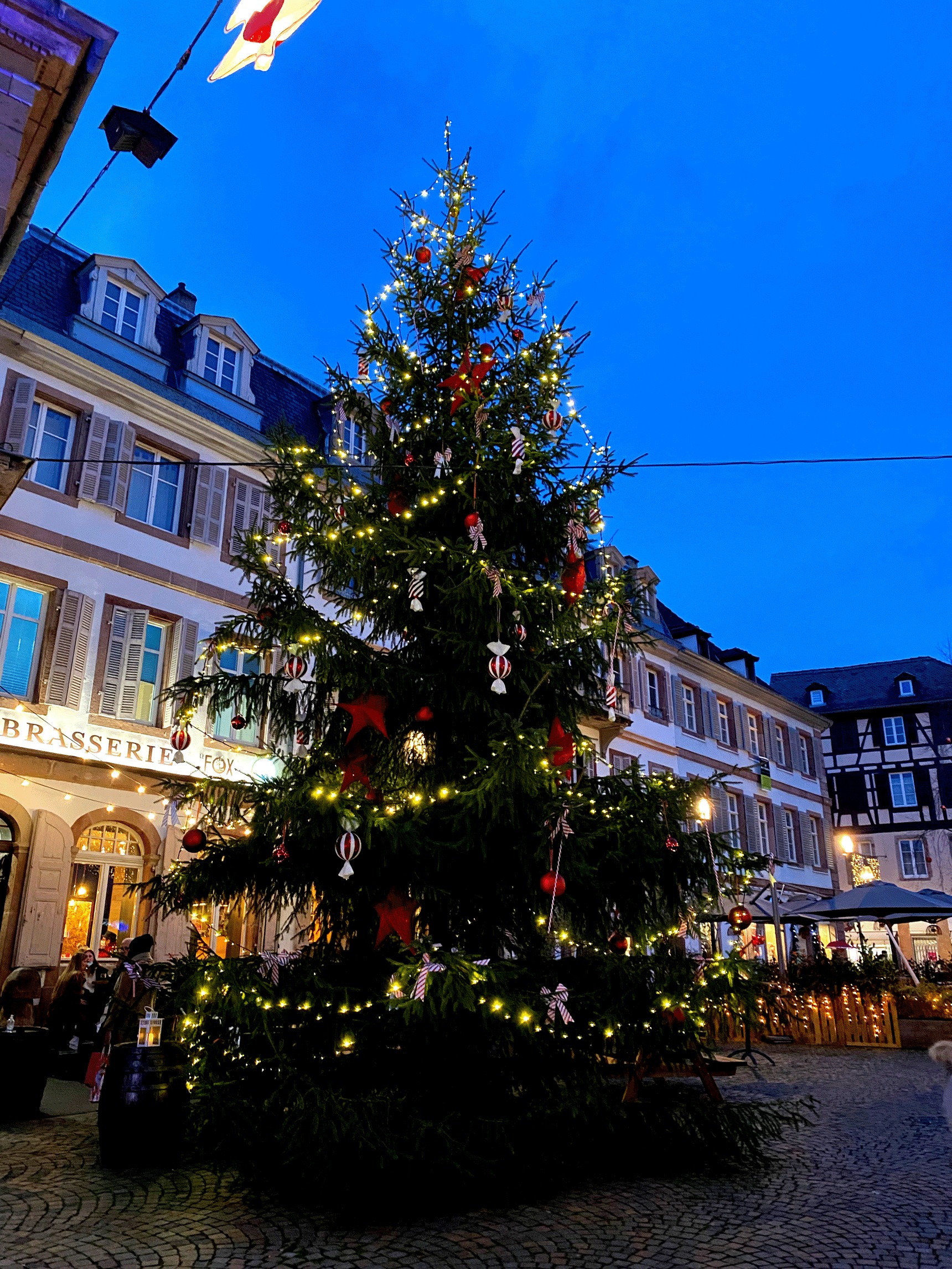 Visitez le marché de Noël de Sélestat en Alsace