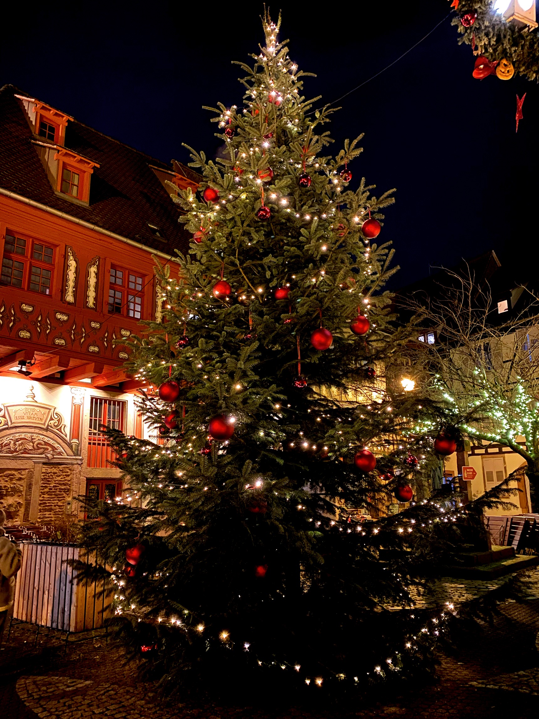 Visitez le marché de Noël de Sélestat en Alsace