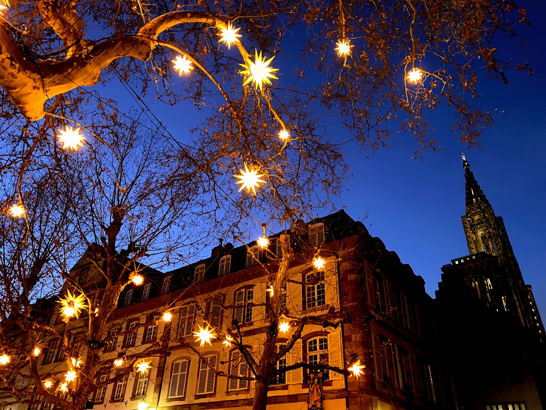 Visitez le marché de Noël de Strasbourg en Alsace