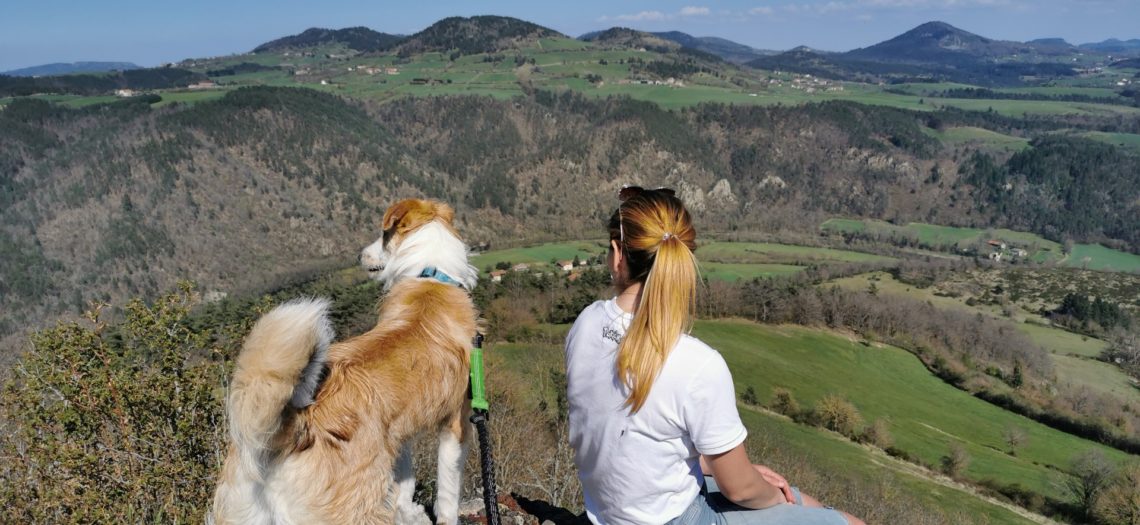 Tous nos conseils pour randonner avec son chien - N'oublie Jamais