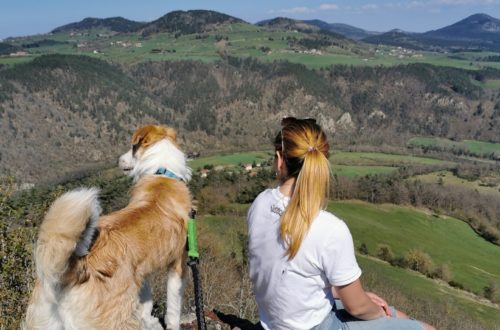Tous nos conseils pour randonner avec son chien - N'oublie Jamais