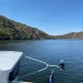 Croisière découverte dans les Gorges de la Loire