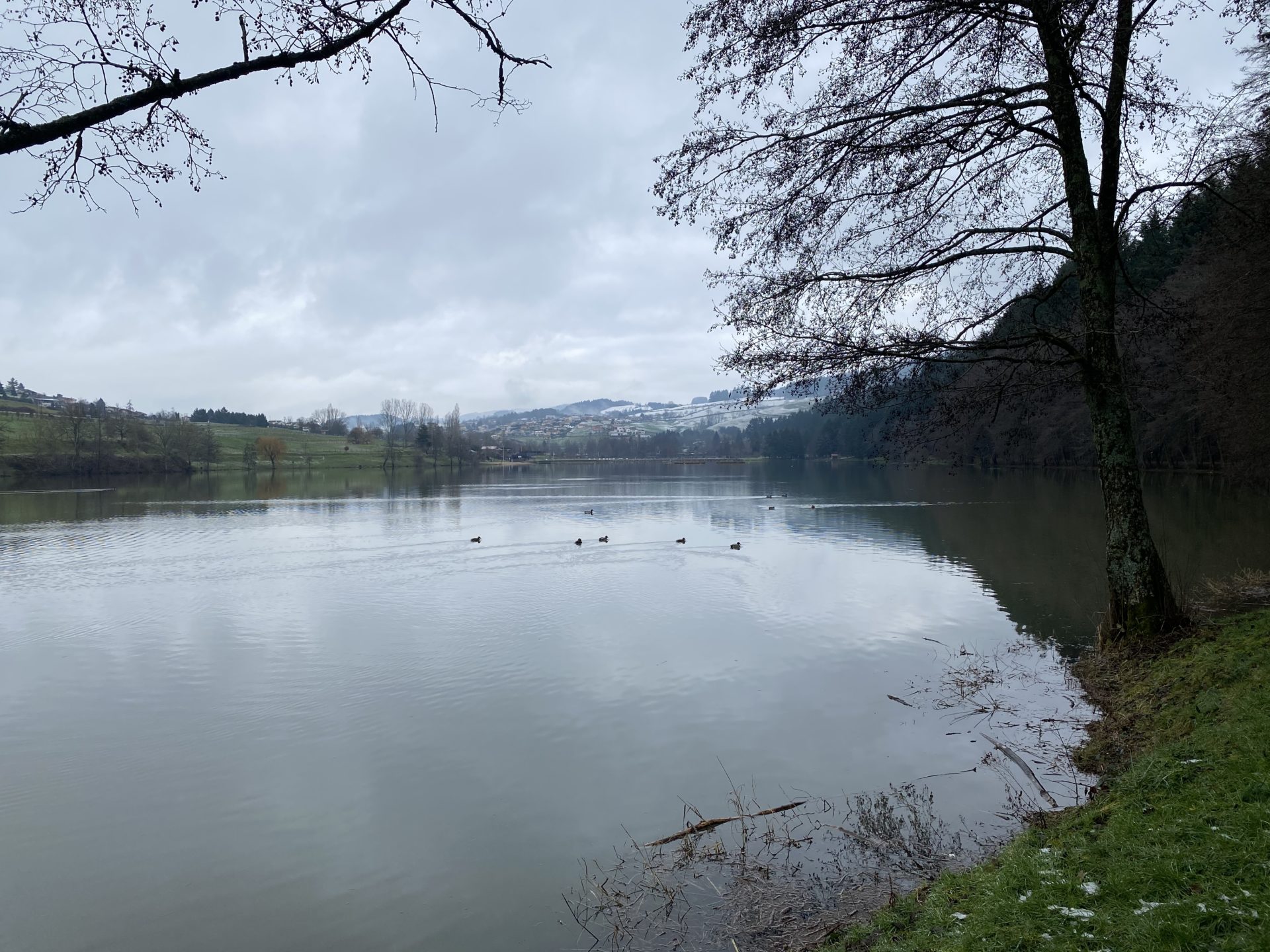 Vue sur le lac des Sapins à Cublize dans le Rhône 69