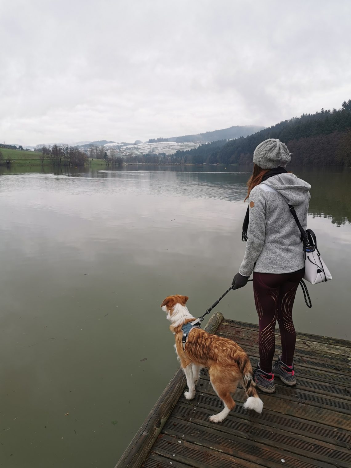 Passer une journée au lac des sapins avec son chien