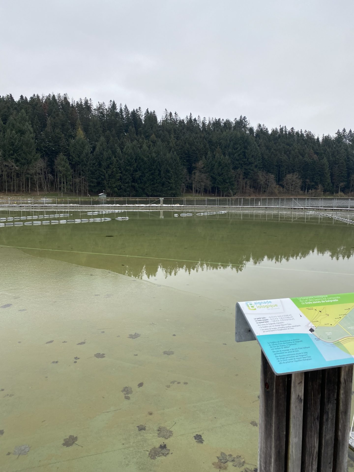 Plus grande baignade biologique d'Europe, près de Lyon