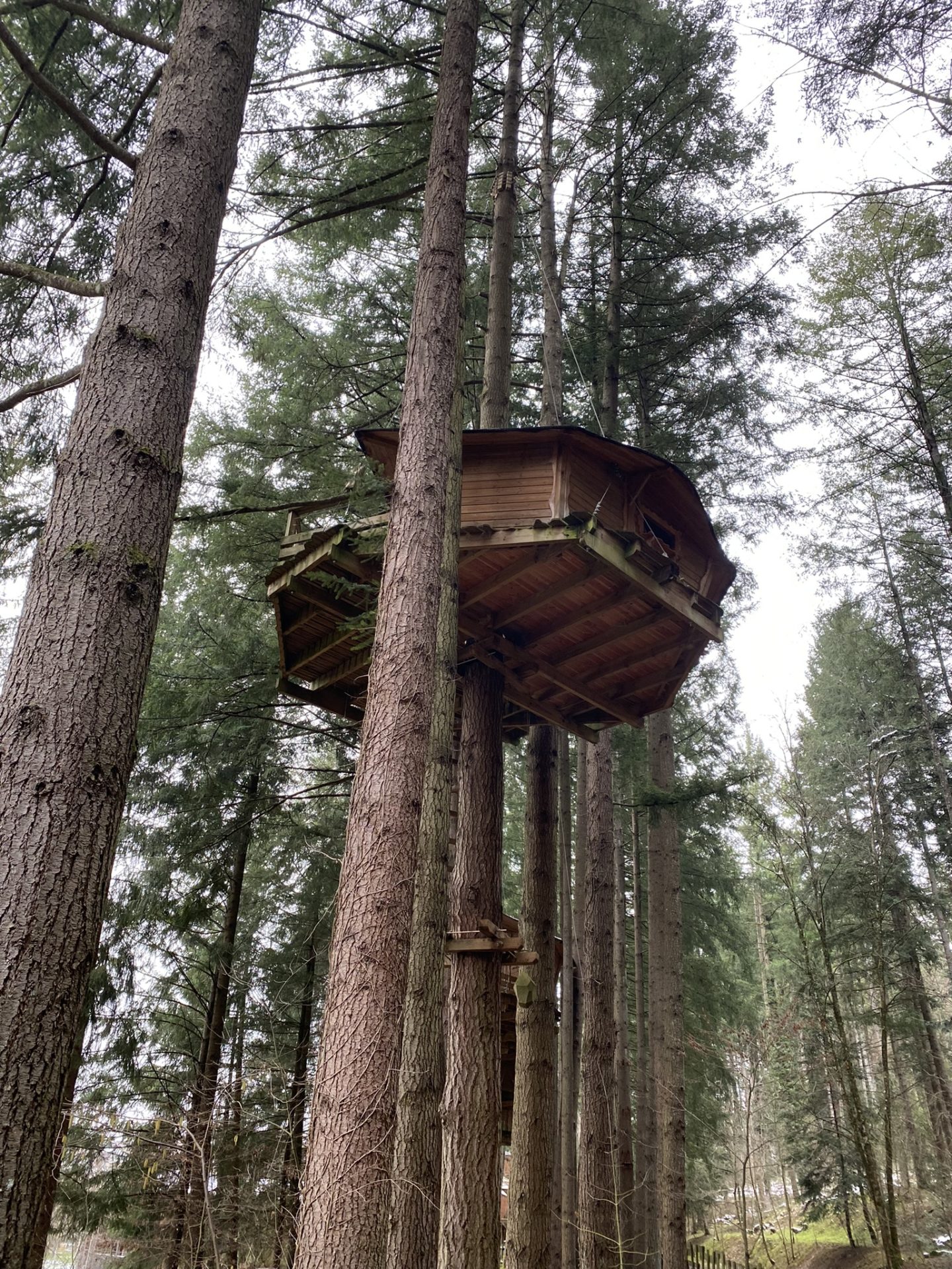 Cabane perchée avec vue sur le lac des sapins à cublize