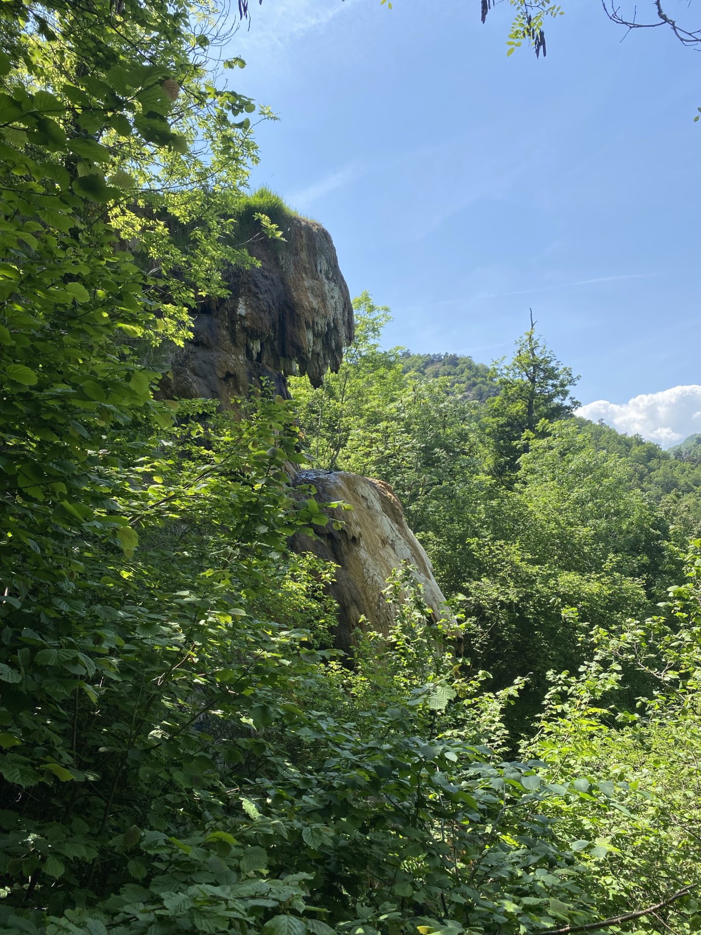 Source salée de la Tête de Lion - Cascade naturelle du Puy-de-Dôme