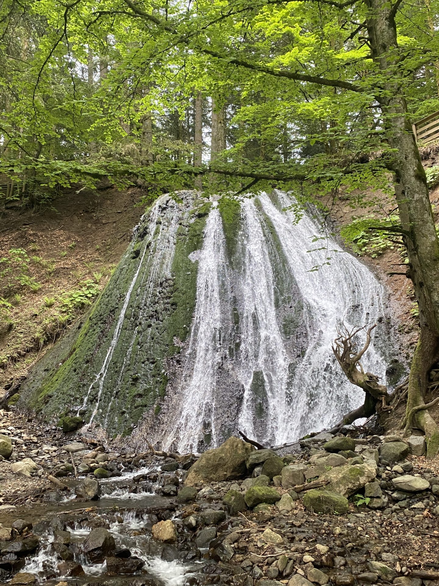 Cascade du Rossignolet - Chute d'eau dans le Puy-de-Dôme