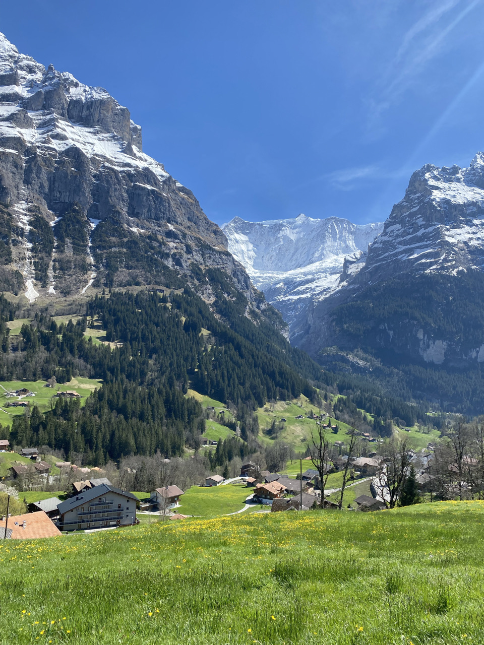 grindelwalt