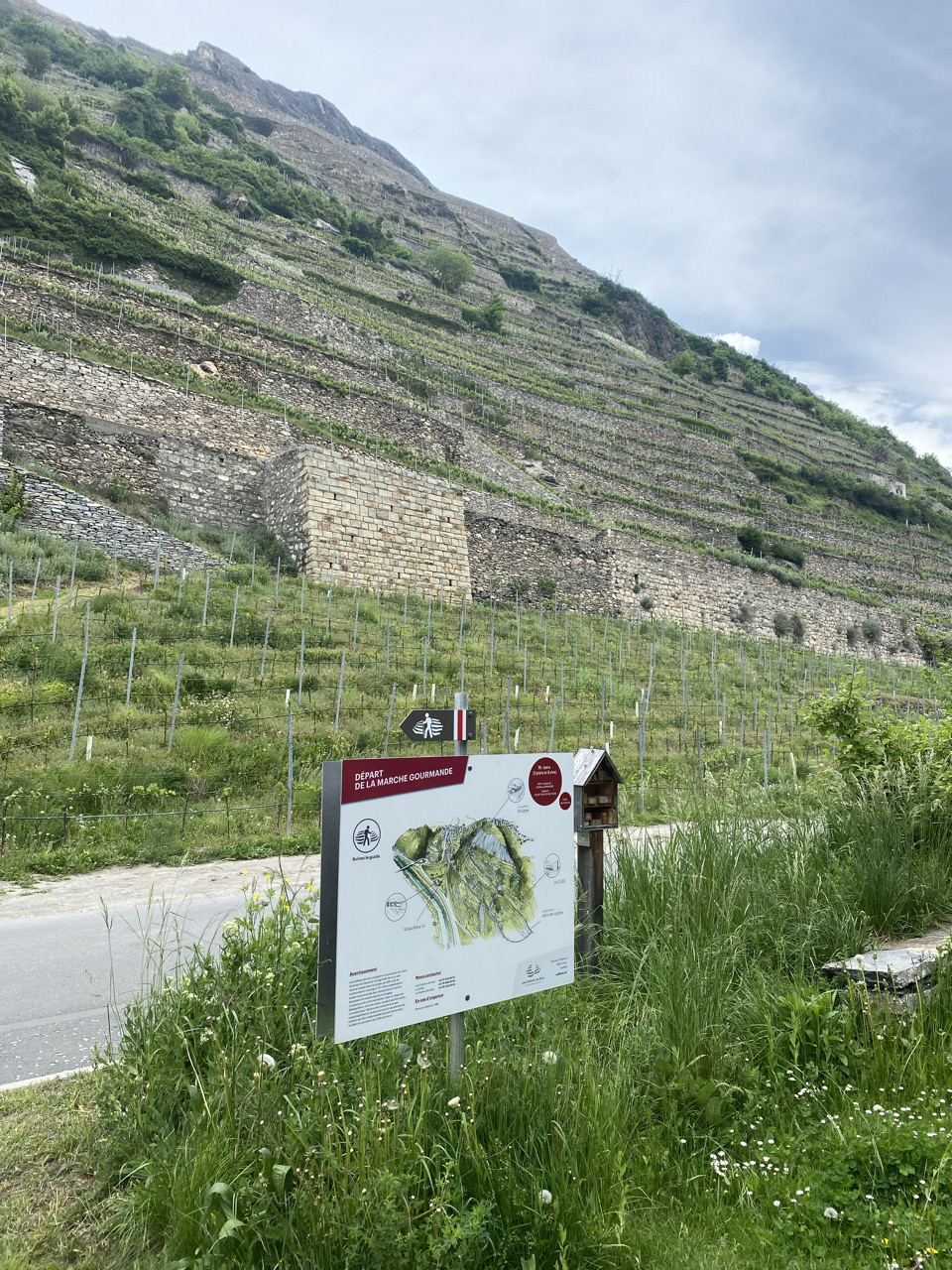 vignoble suisse