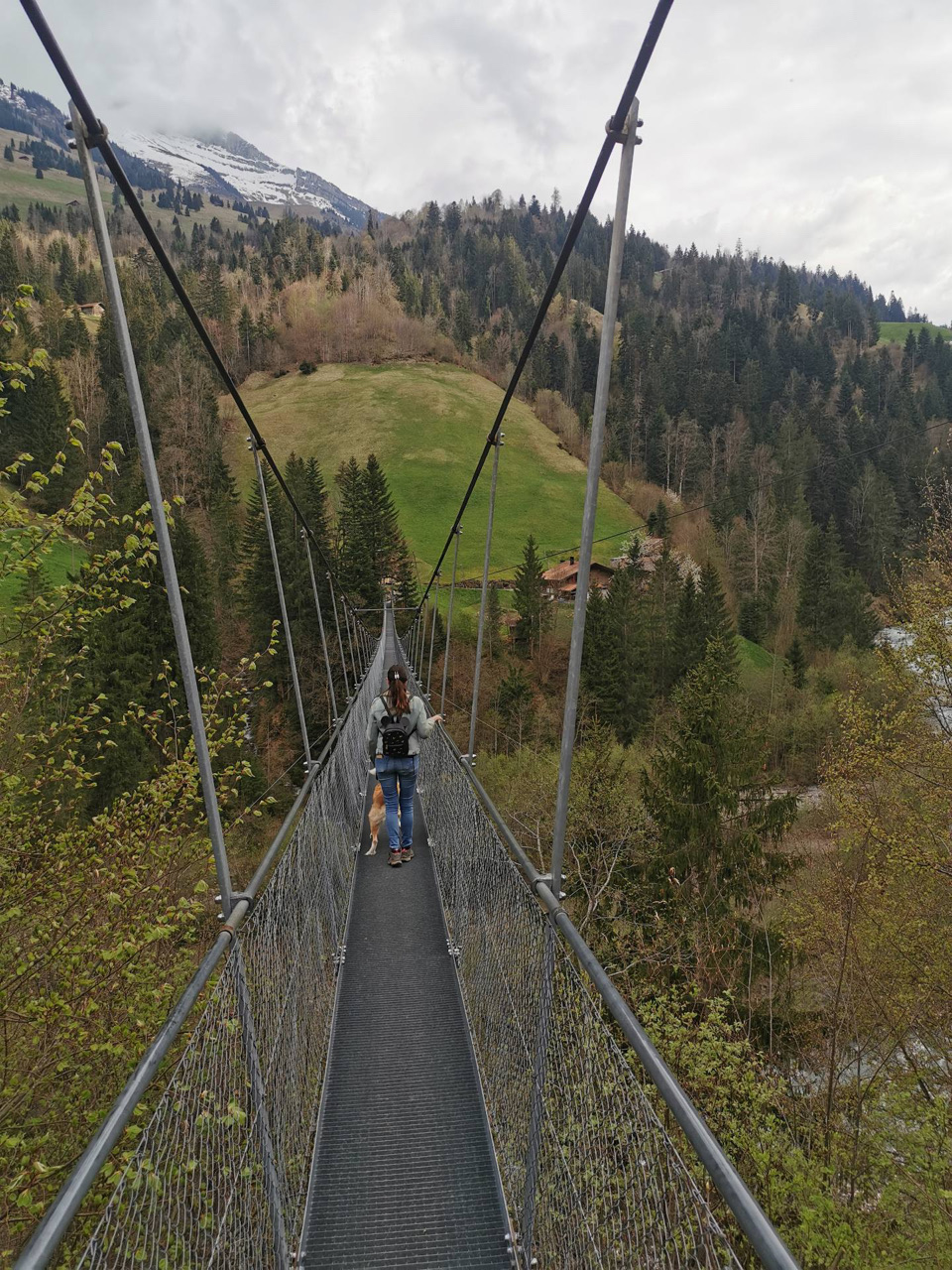 Puente colgante Hohstalden