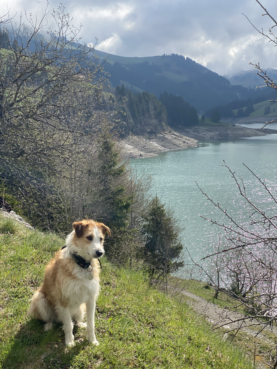 barrage de l'hongrin