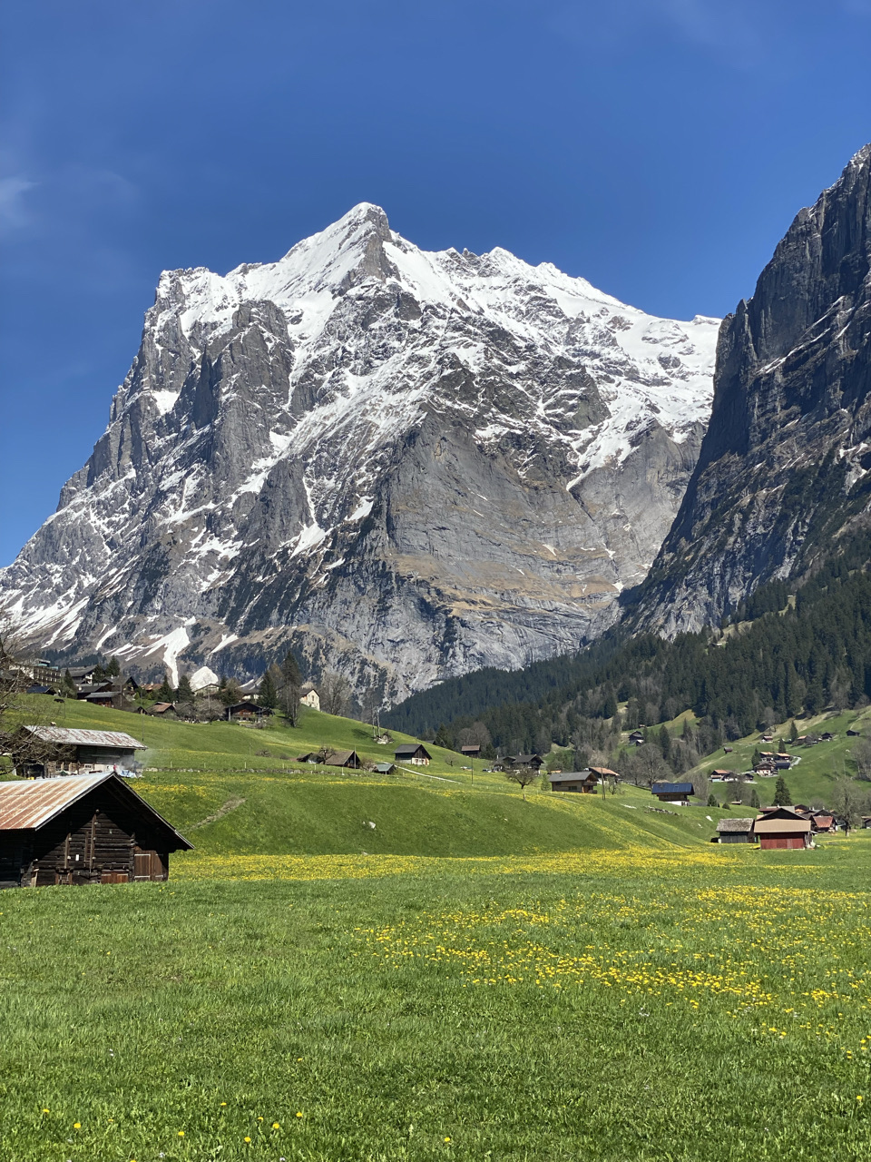 grindelwald