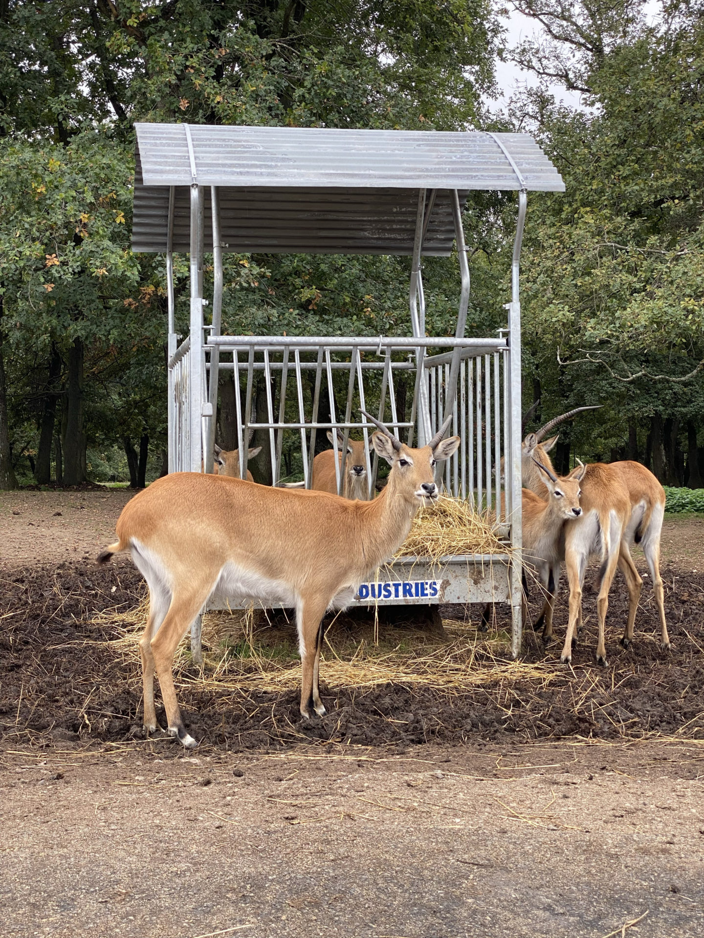 peaugres safari