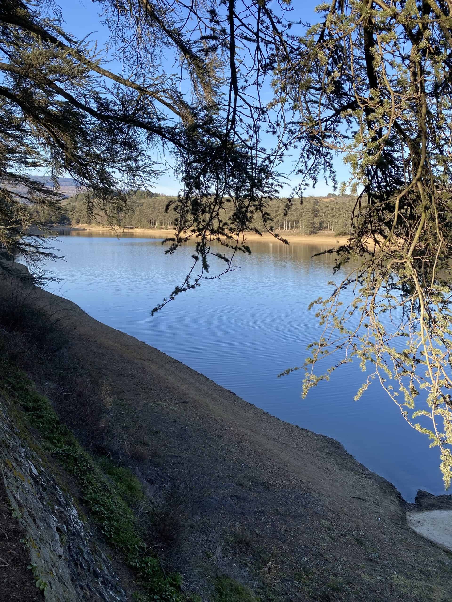 lac du ternay