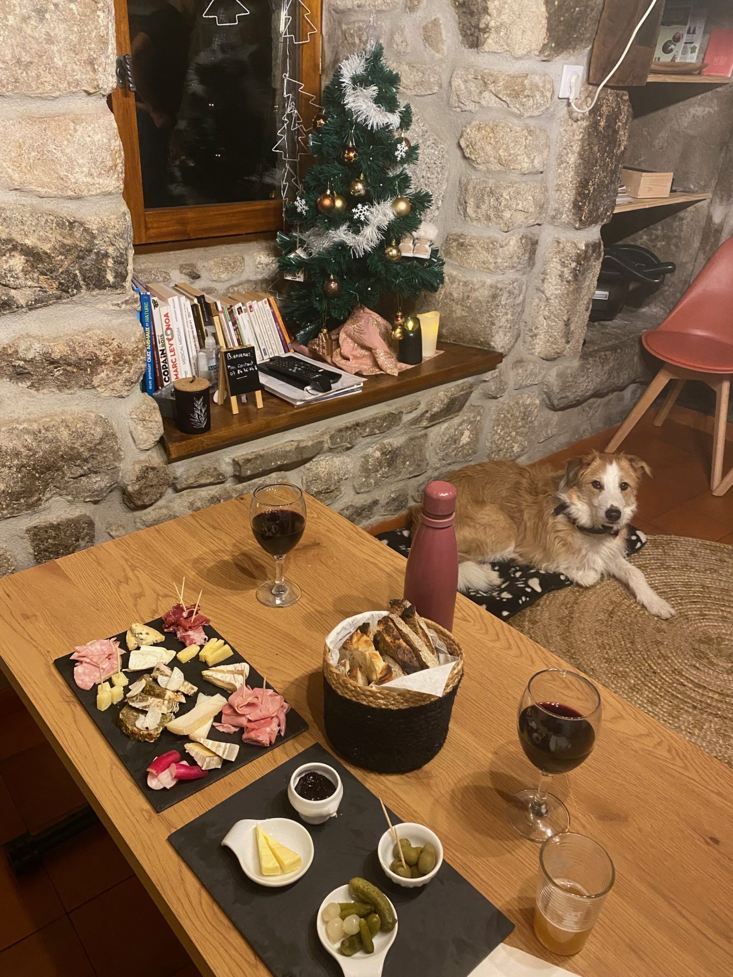 Noël en couple avec chien