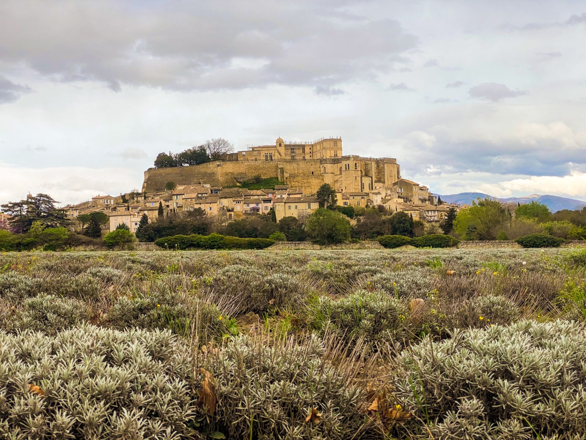 le chateau de grignan