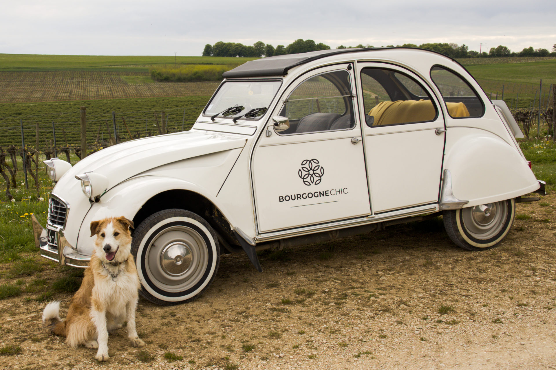 balade en 2cv avec son chien