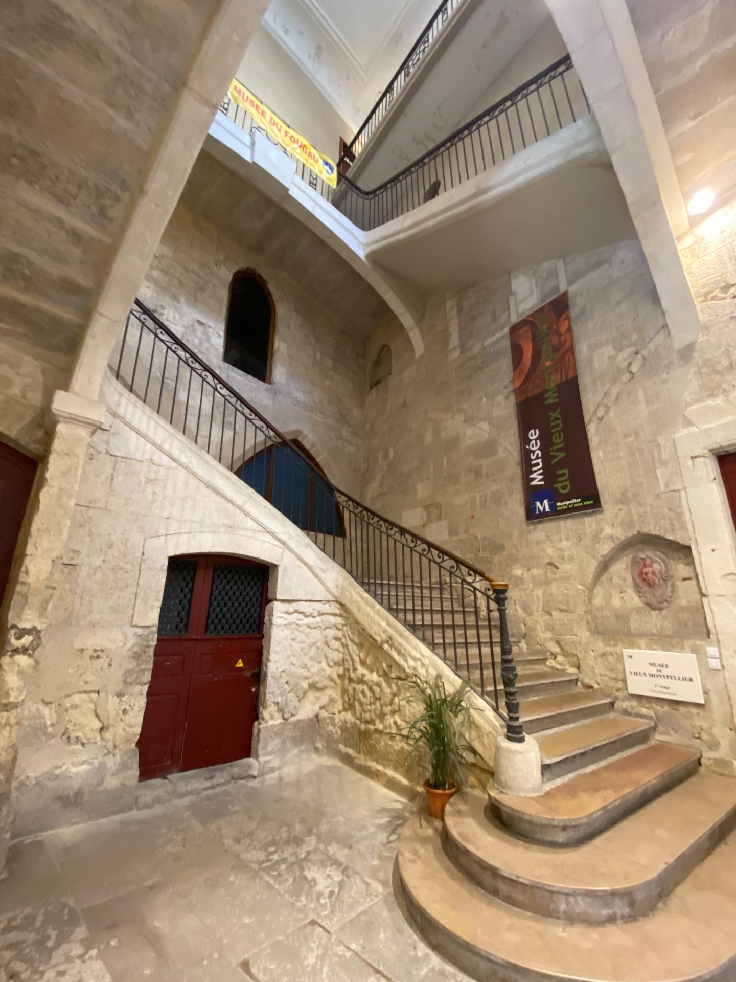 Cour intérieure du Musée du Vieux Montpellier avec chien