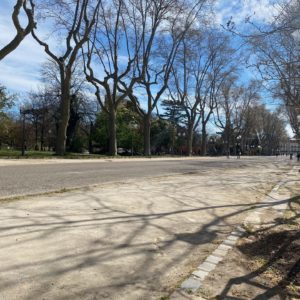 Parc Montcalm à Montpellier avec allées et végétation