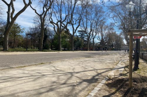 Parc Montcalm à Montpellier avec allées et végétation