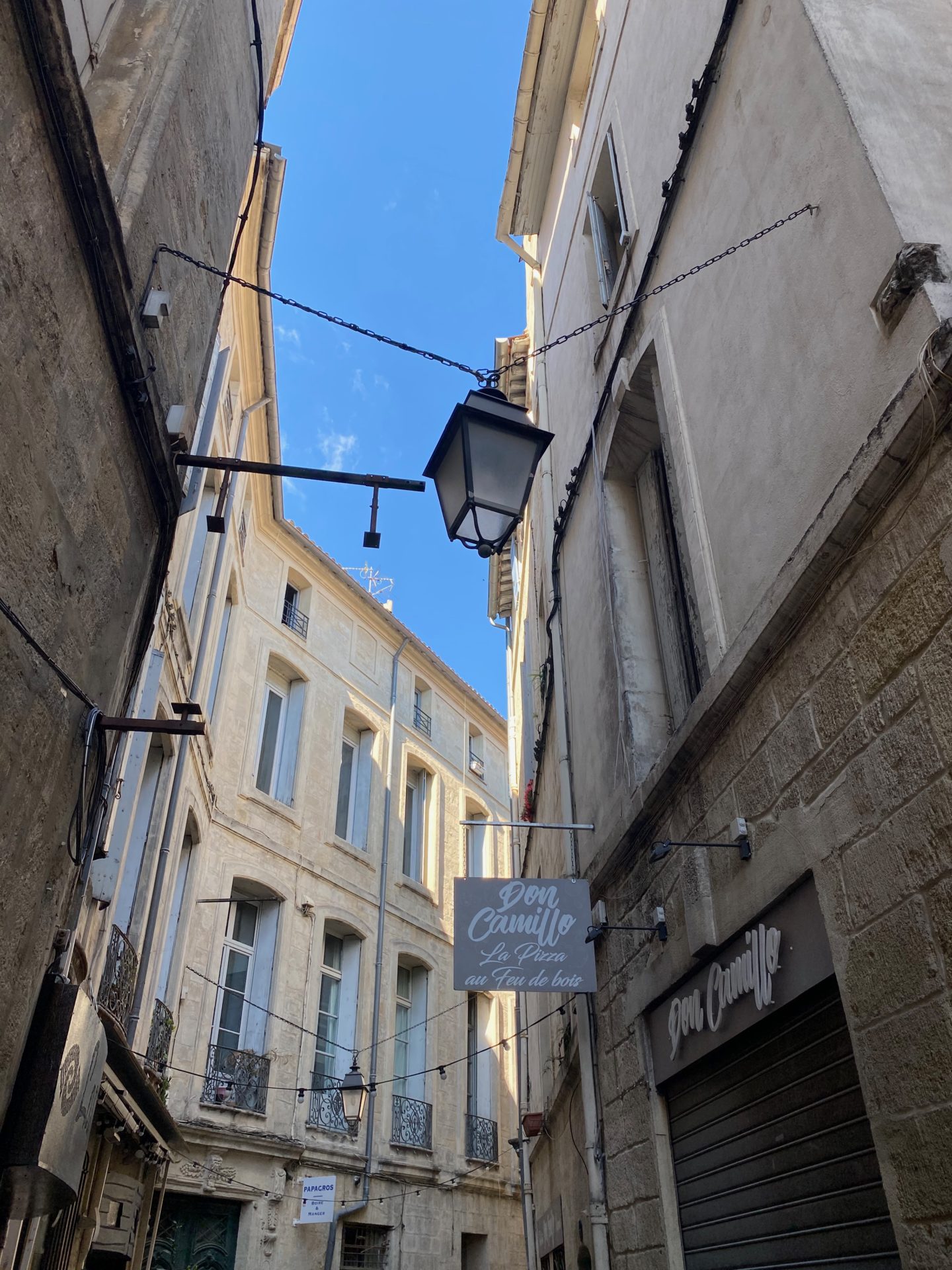 Visite du centre historique de Montpellier avec un chien