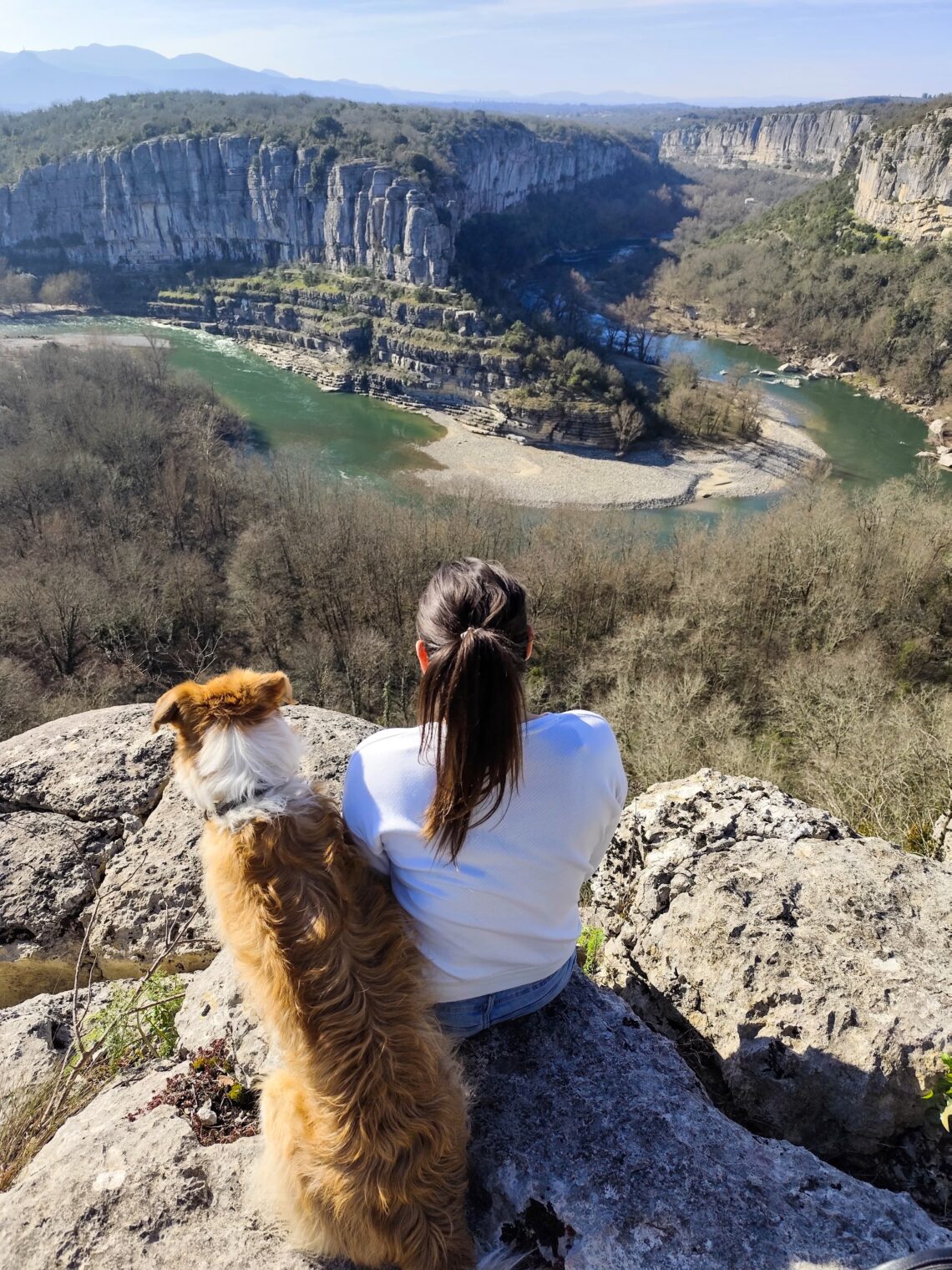 ou-partir-vacances-chien-france-2026