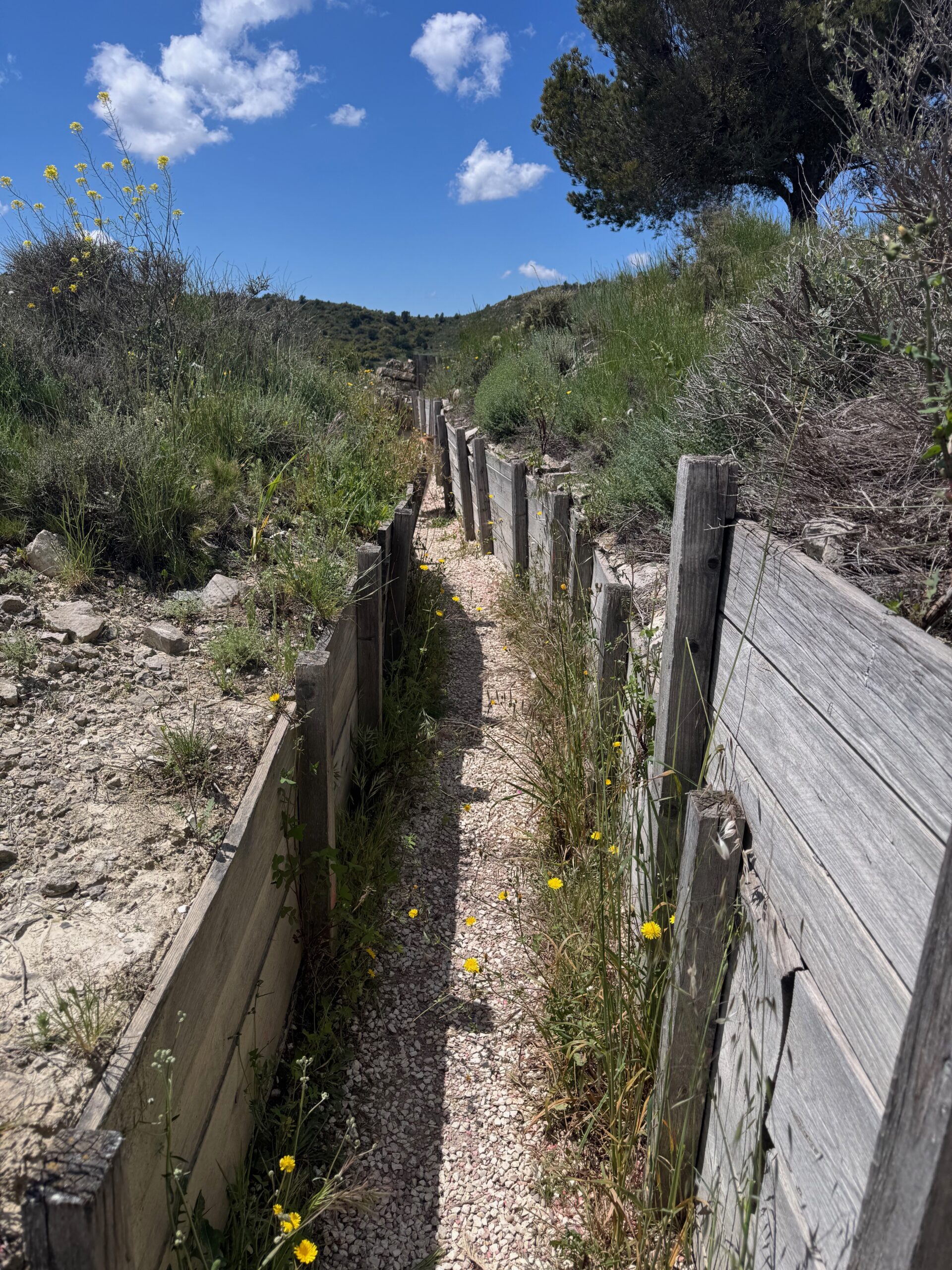 découverte des Tranchées d'Alcubierre