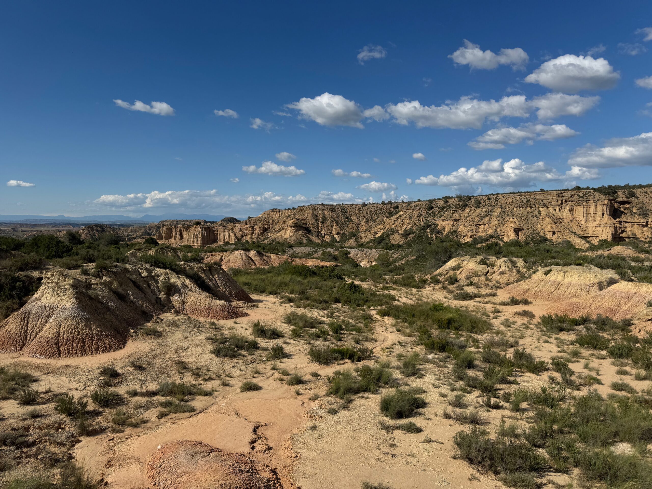 vue large sur le désert des monegros en espagne