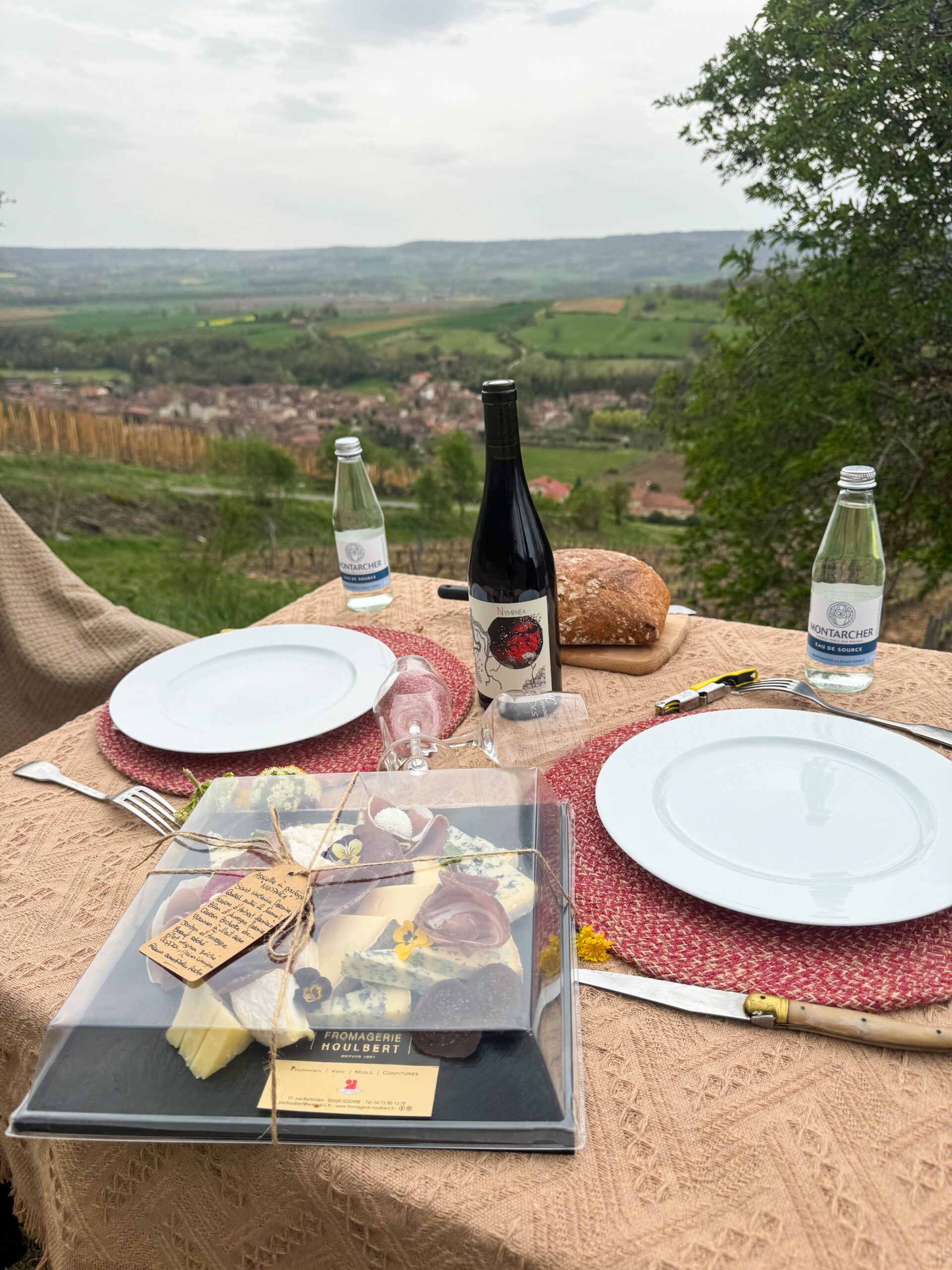 Pique-nique avec son chien au Domaine Sauvat vignoble labellisé Qualidog à Boudes.
